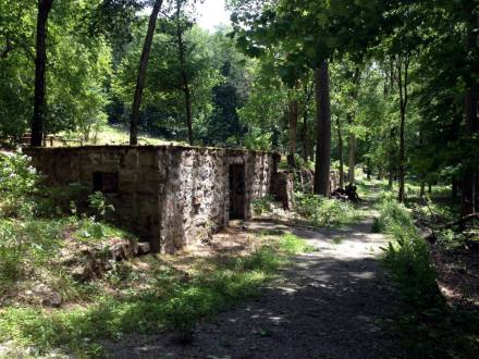 969977_10100489107332203_653967510_n