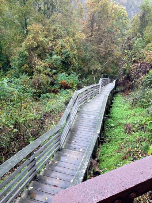 996932_10100650814384973_674760777_n