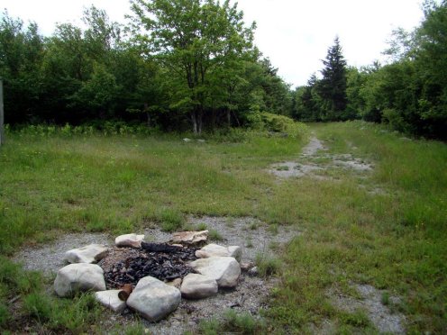 246510_10100179711598733_1669694508_n